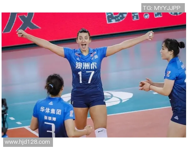 深圳排球队技术争议引发热议球迷与专家观点碰撞激烈